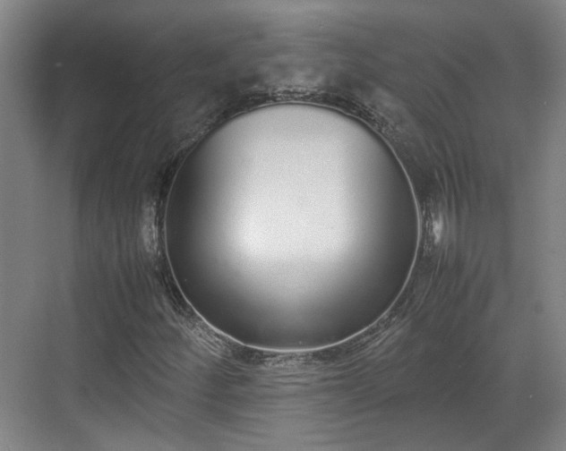 X0000070381252200606161335