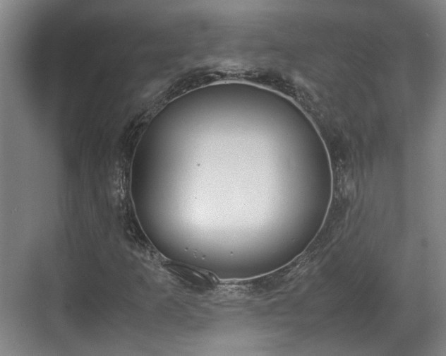 X0000070381253200606161335