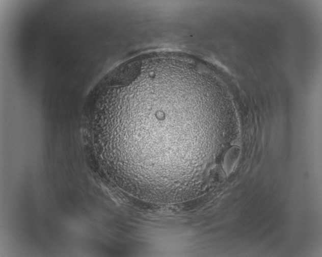 X0000070381255200606161335