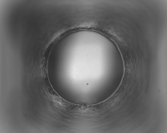 X0000070381256200606161335