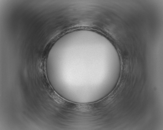 X0000070381258200606161335