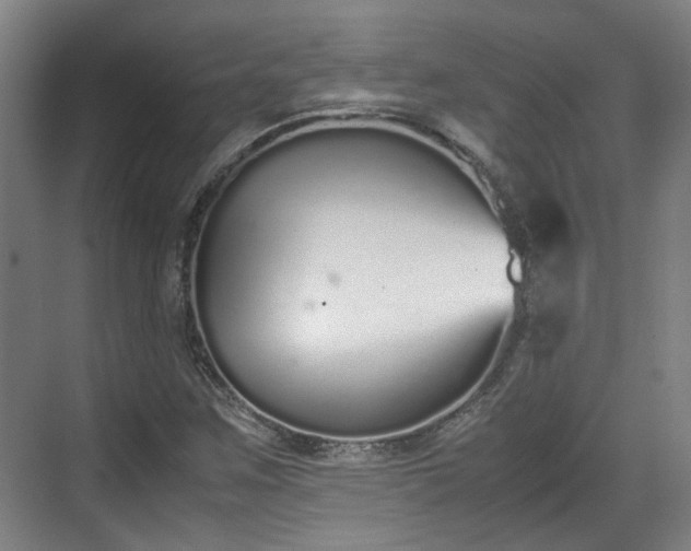 X0000070381259200606161335