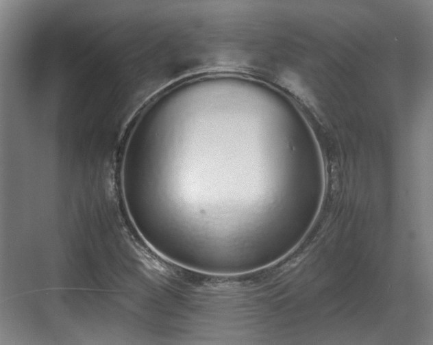 X0000070381260200606161335