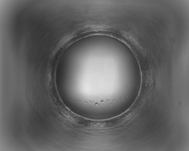 X0000070381261200606161335