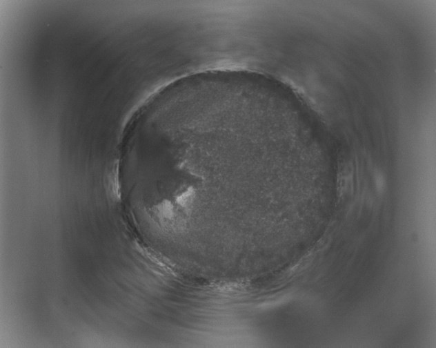 X0000070381262200606161335