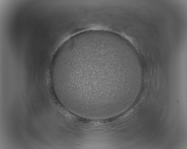 X0000070381263200606161335