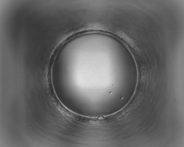 X0000070381264200606161335