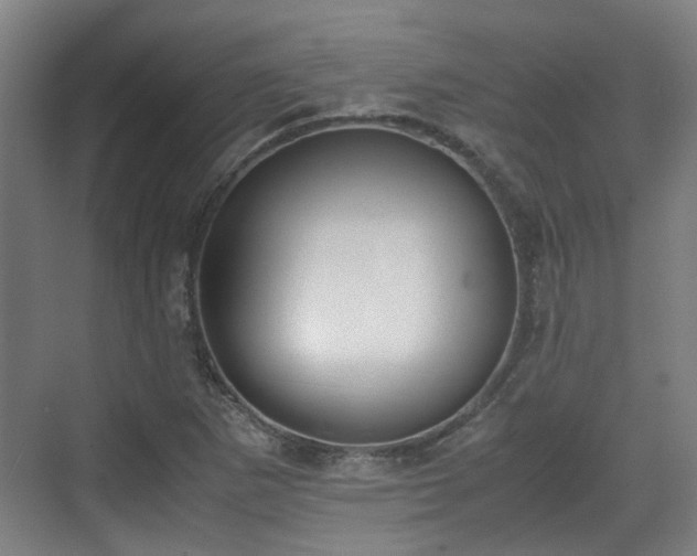 X0000070381265200606161335