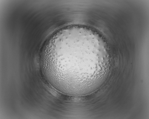 X0000070381266200606161335