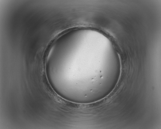 X0000070381267200606161335