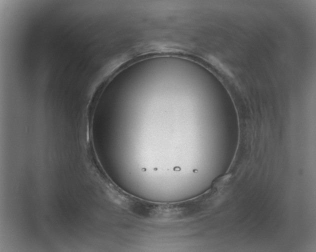 X0000070381269200606161334