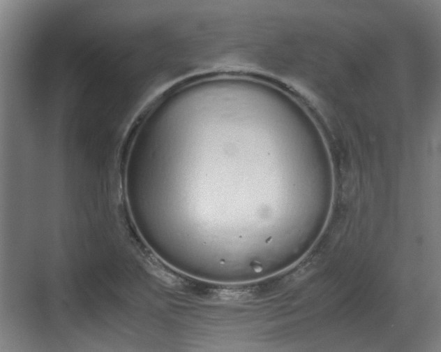 X0000070381271200606161334