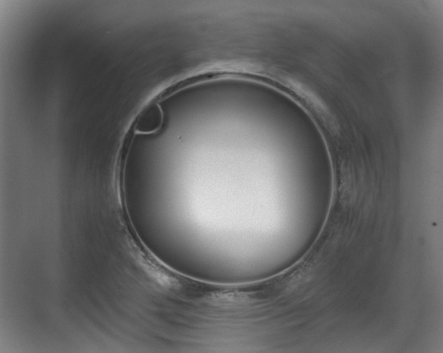 X0000070381272200606161334