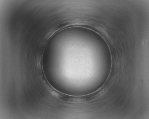 X0000070381273200606161334