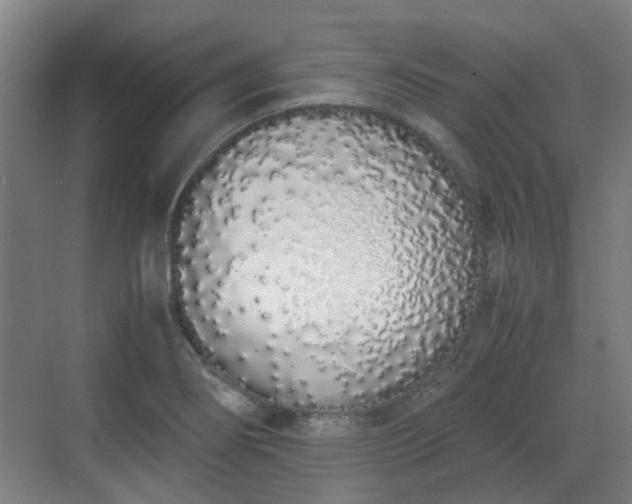 X0000070381274200606161334