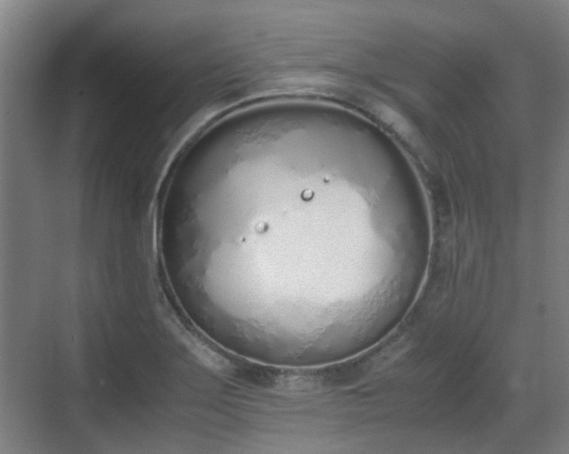 X0000070381275200606161334