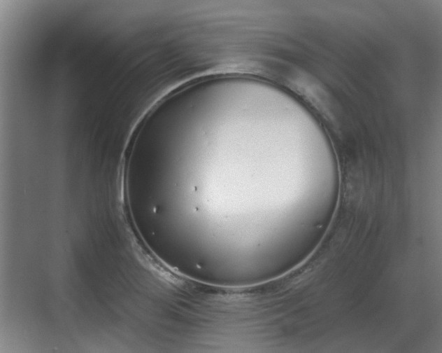 X0000070381276200606161334