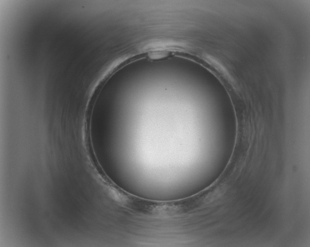 X0000070381277200606161334