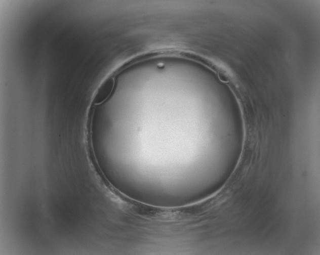 X0000070381279200606161334