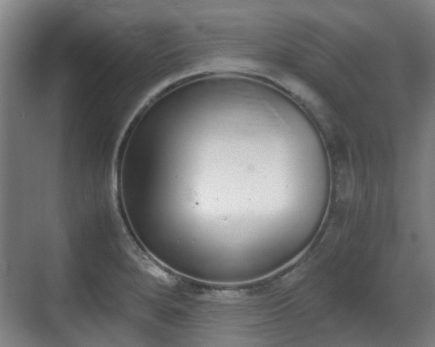 X0000070381280200606161334