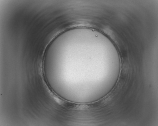 X0000070381282200606161334