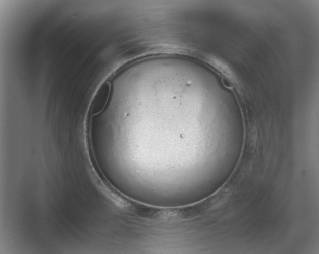 X0000070381283200606161334