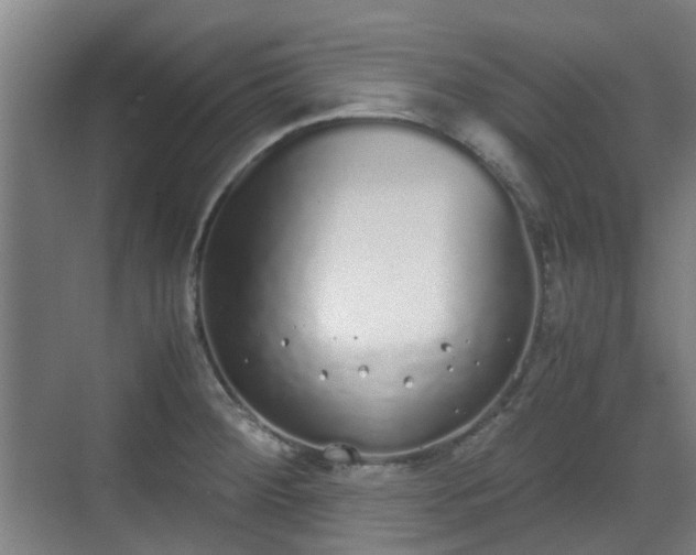 X0000070381284200606161334