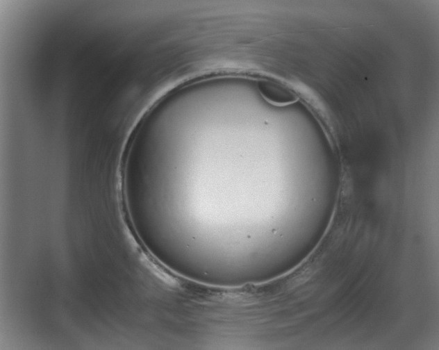 X0000070381287200606161334