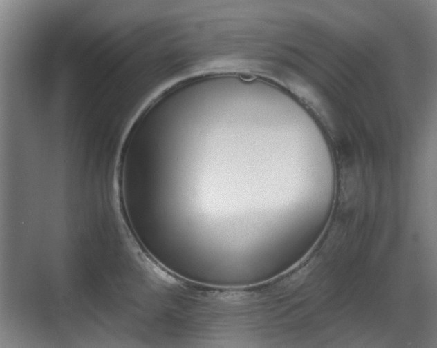 X0000070381288200606161334