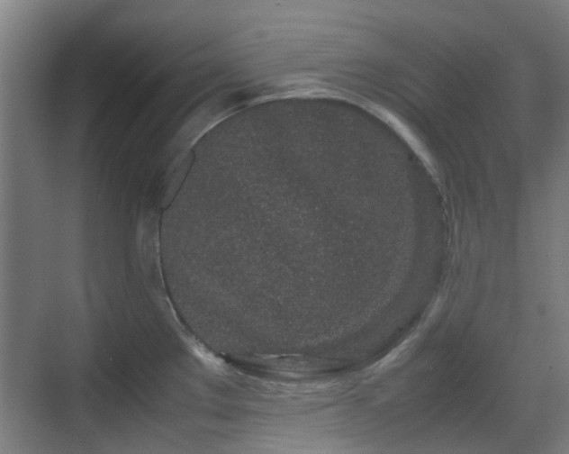 X0000070381289200606161334