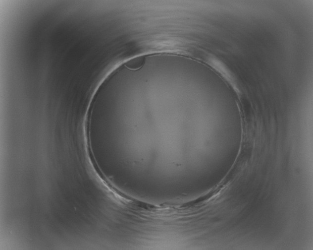 X0000070381291200606161334