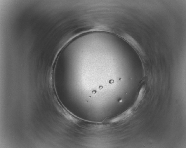 X0000070381292200606161334