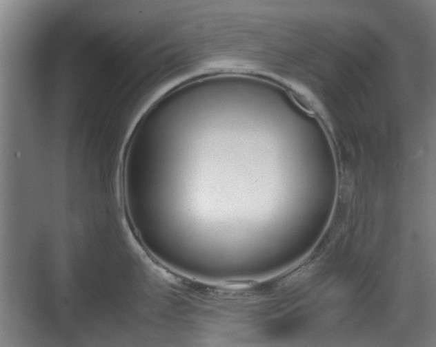 X0000070381295200606161334