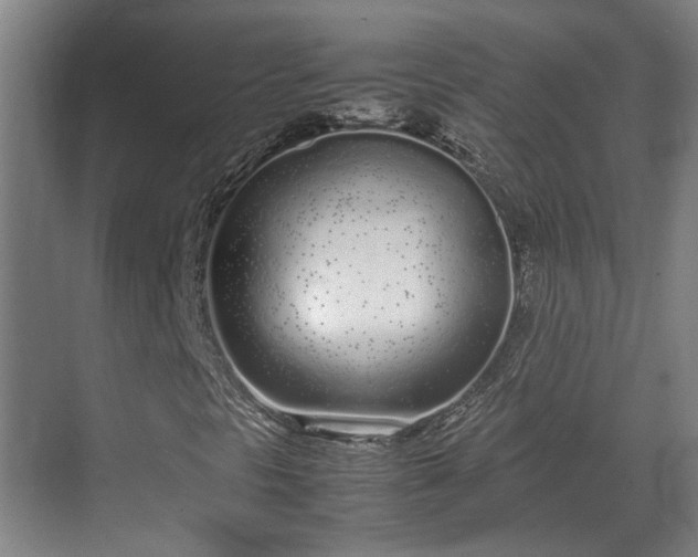 X0000070381297200606161333