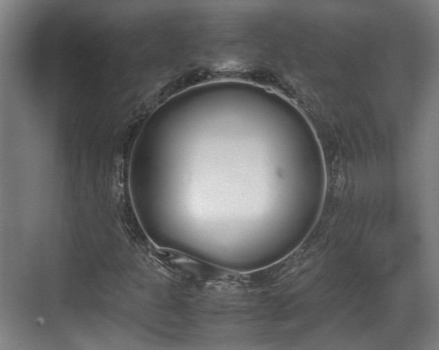 X0000070381301200606161333