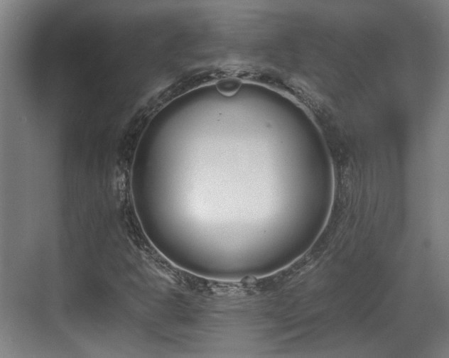 X0000070381302200606161333