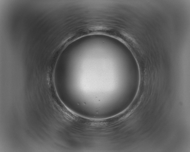 X0000070381305200606161333