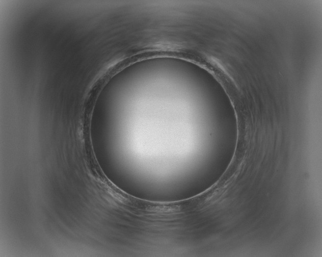 X0000070381307200606161333