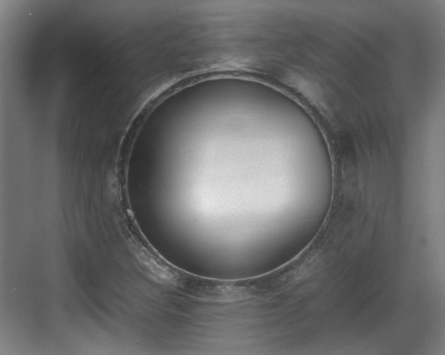 X0000070381308200606161333