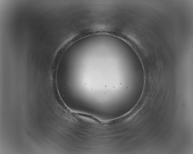 X0000070381309200606161333