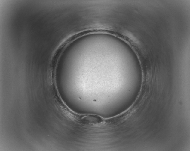 X0000070381310200606161333