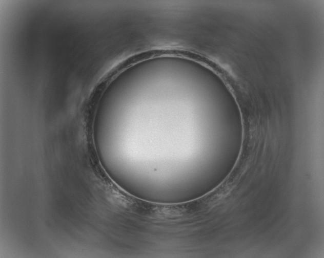 X0000070381311200606161333