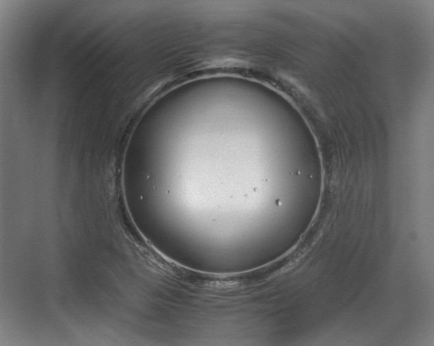 X0000070381313200606161333