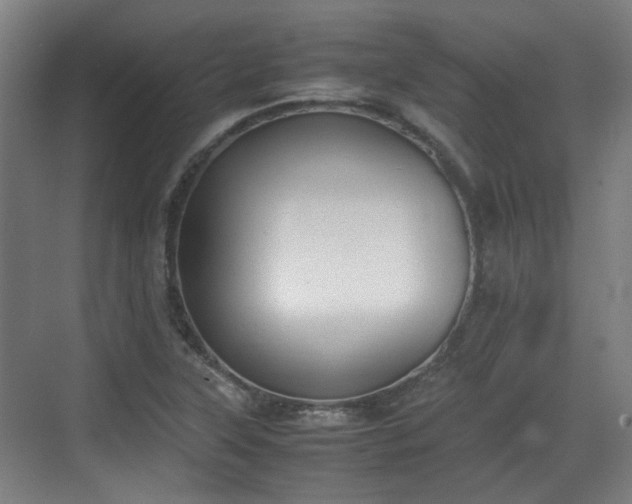 X0000070381315200606161334