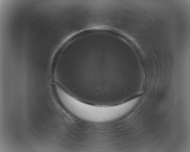 X0000070381319200606161334