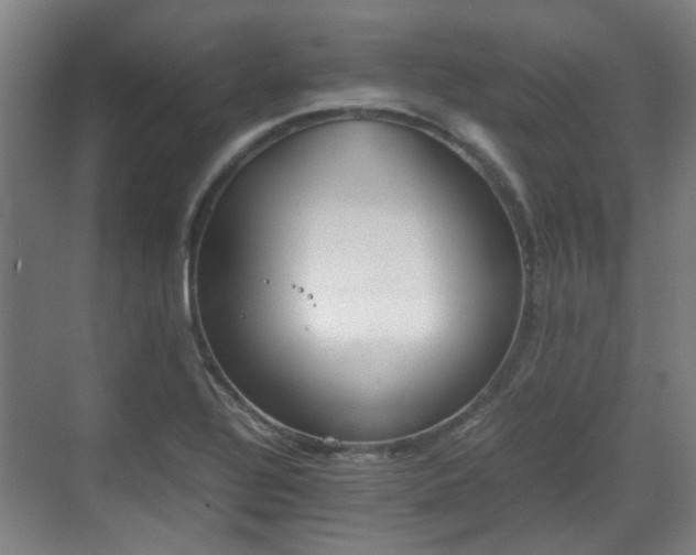 X0000070381320200606161334