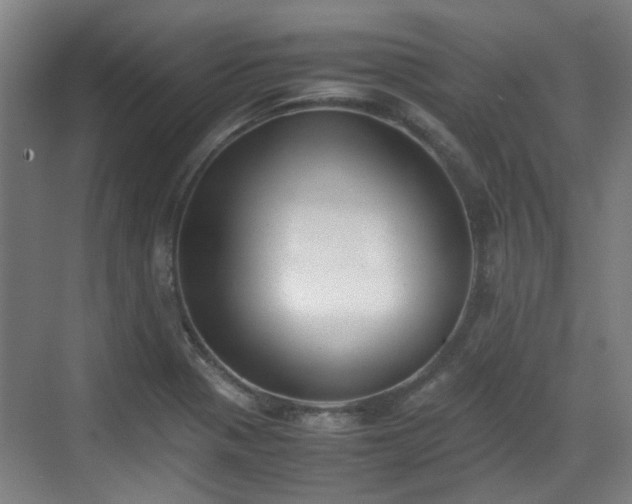 X0000070381321200606161334