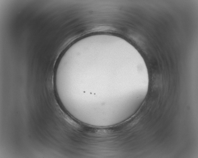 X0000070381322200606161334