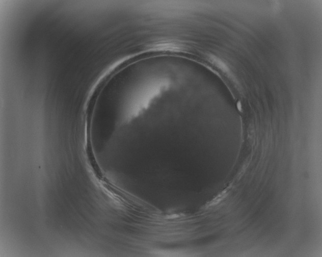 X0000070381323200606161334