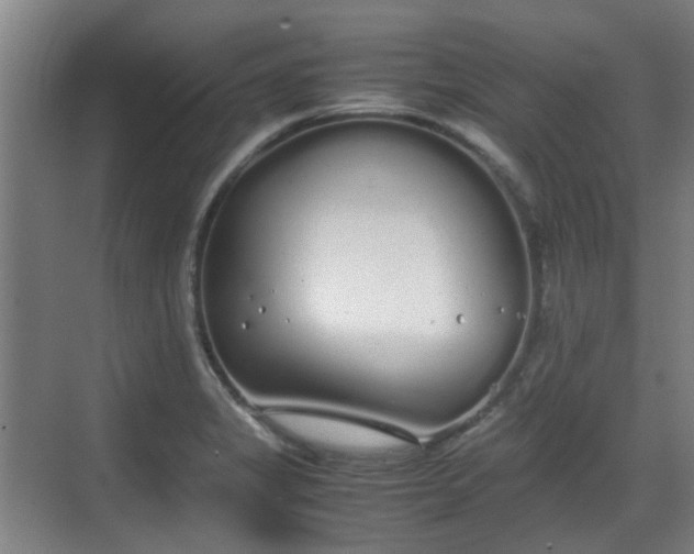 X0000070381325200606161334